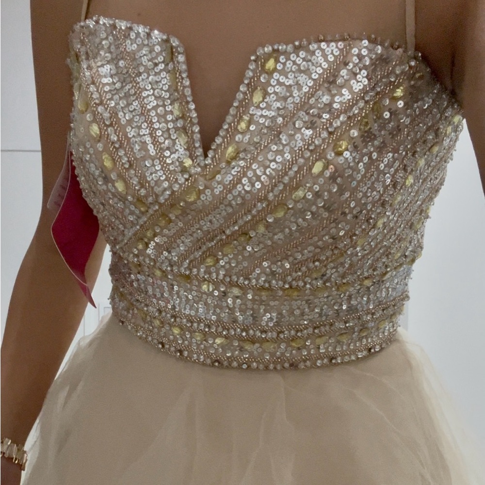 NWT Designer Sequin and Tulle Dress